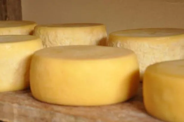 agricultoras familiares lancam queijo de origem holandesa